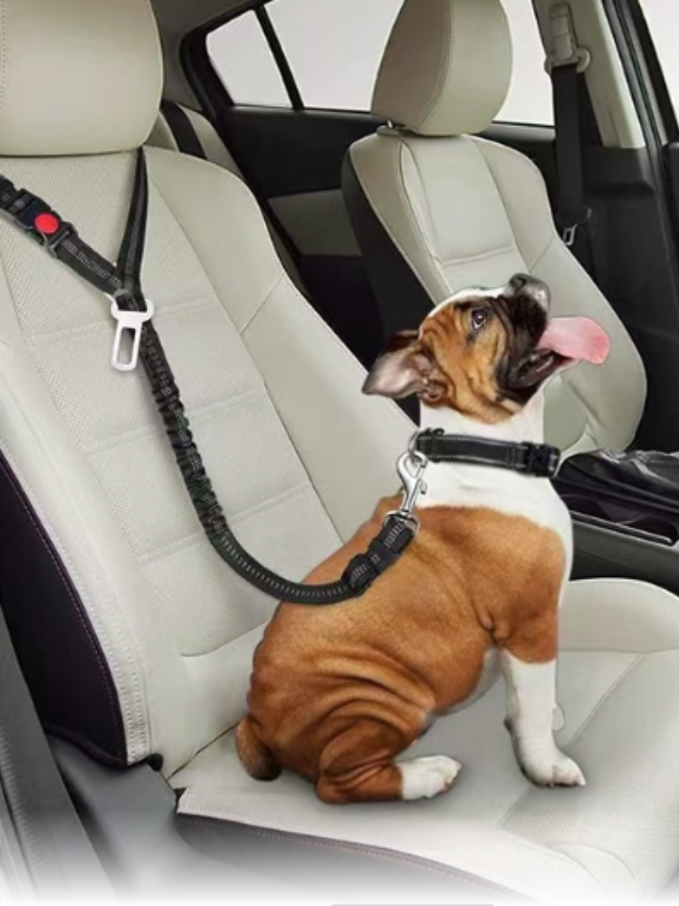 Adjustable Pet Dog Car Seat Be - огляд і ціна Swing Seat Belt