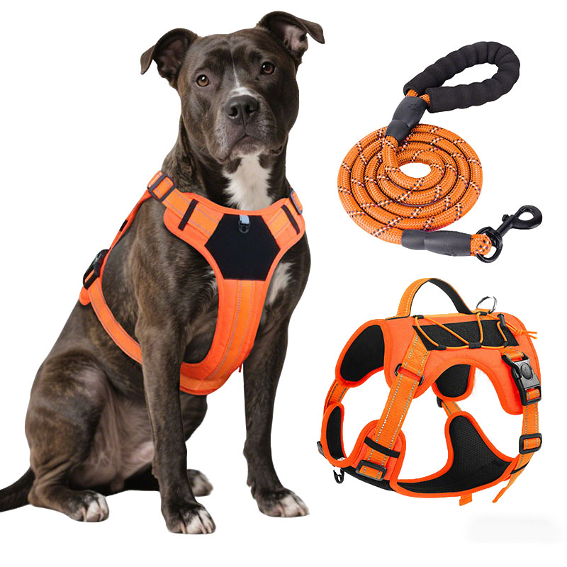 Dog Harness and Leash Set for  - огляд і ціна Swing Seat Belt