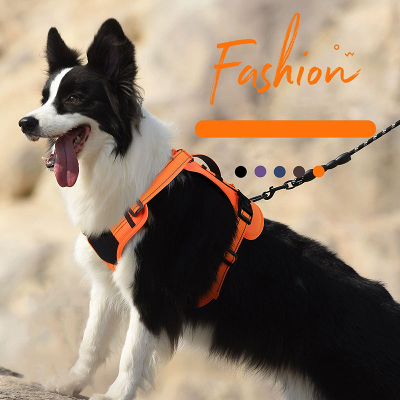Dog Harness and Leash Set for  - огляд і ціна Swing Seat Belt