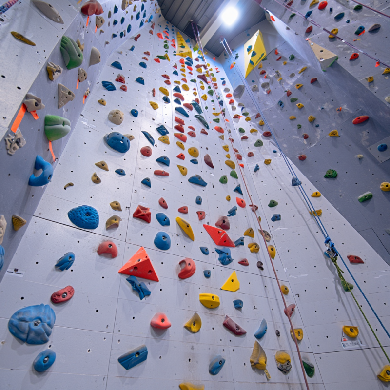 MIZONE Multifunctional Climbin - огляд і ціна Kids Outdoor Climbing Wall