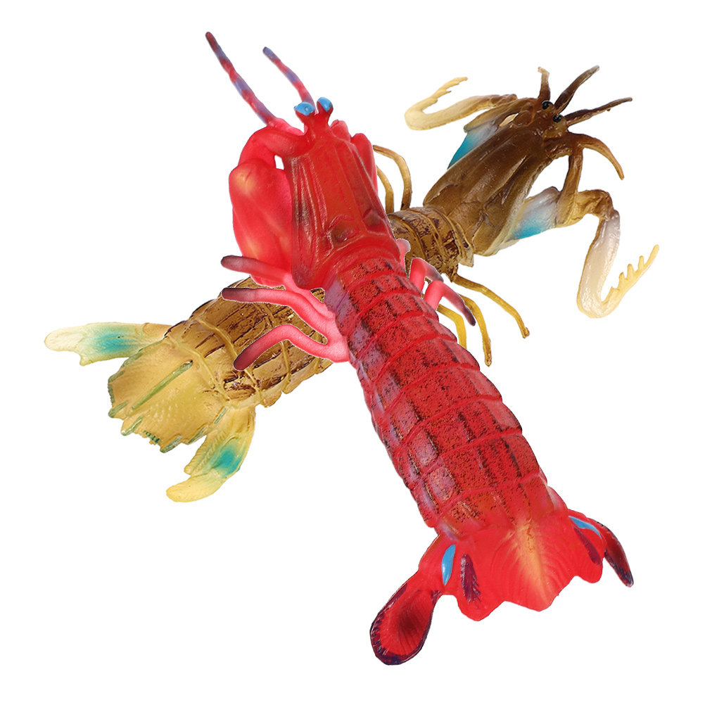 2Pcs Animal Shrimp Simulation  - огляд і ціна Kids Outdoor Learning Activities
